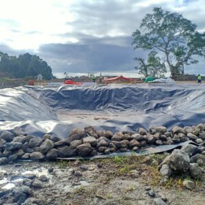 Geomembrane